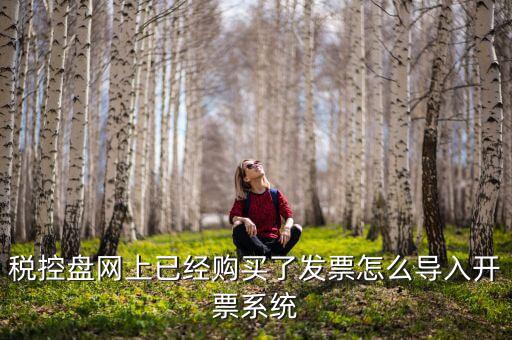 稅控盤網(wǎng)上已經(jīng)購買了發(fā)票怎么導入開票系統(tǒng)