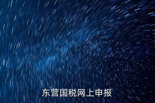 東營國稅如何網(wǎng)上申報(bào)，東營國稅網(wǎng)上申報(bào)