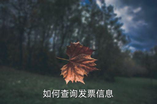 開票系統(tǒng)如何查詢票種，如何從金稅盤中看出公司票種