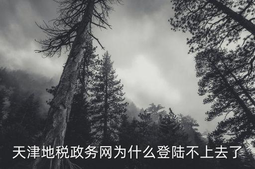 天津地稅如何登錄，天津地稅政務(wù)網(wǎng)為什么登陸不上去了