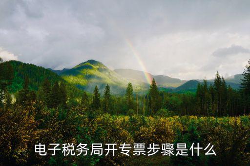 山西省稅務局網(wǎng)上如何開專票，如何開增值稅專用發(fā)票
