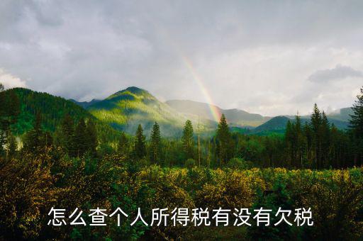 個(gè)人企業(yè)如何查欠稅啊，個(gè)體工商戶怎么查詢是否欠稅