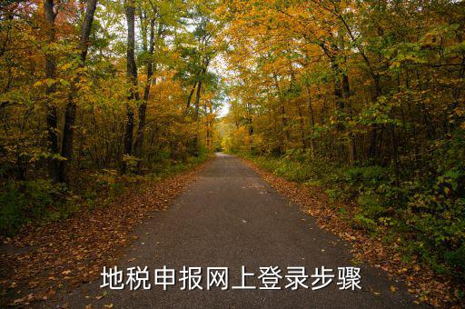 廣西國稅地稅如何網(wǎng)上申報，稅務(wù)申報如何網(wǎng)上申報