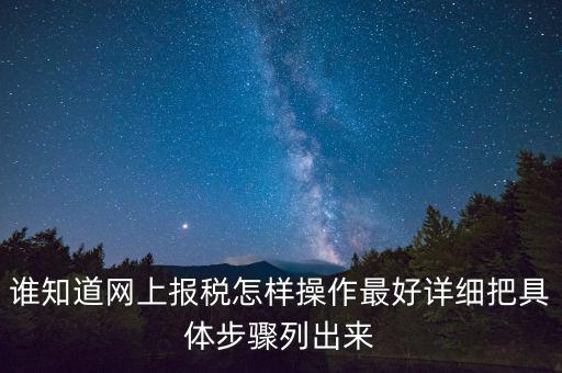 如何進(jìn)行網(wǎng)上納稅申報(bào)，如何進(jìn)行網(wǎng)上申報(bào)稅款