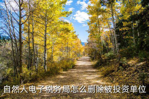 電子稅務(wù)局如何刪除不管的企業(yè)，電子稅務(wù)局網(wǎng)頁(yè)怎么清除企業(yè)稅號(hào)記錄