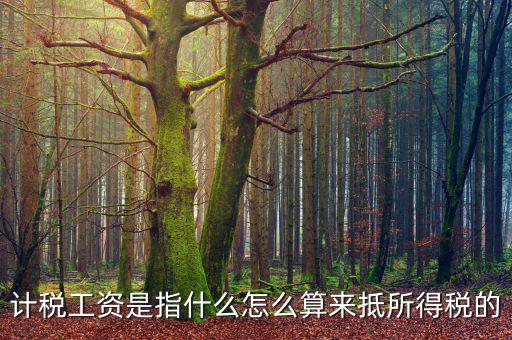 工資如何抵扣所得稅，企業(yè)所得稅工資抵扣的一些訣竅