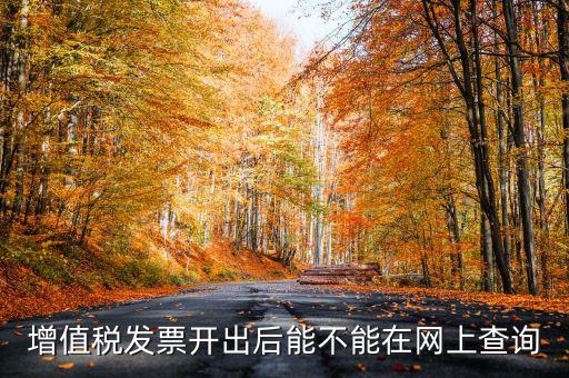 如何查詢發(fā)票完稅，稅控軟件上已經開的發(fā)票怎么查詢