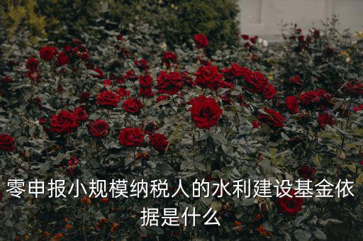零申報小規(guī)模納稅人的水利建設(shè)基金依據(jù)是什么