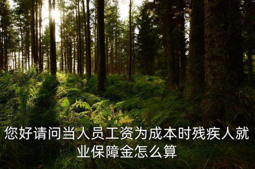 您好請問當(dāng)人員工資為成本時(shí)殘疾人就業(yè)保障金怎么算