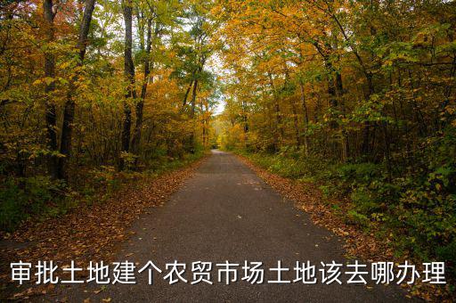 農(nóng)貿(mào)市場土地如何取得，審批土地建個農(nóng)貿(mào)市場土地該去哪辦理