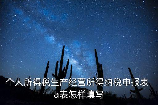 個(gè)人經(jīng)營(yíng)所得申報(bào)表a表如何填，個(gè)人所得稅經(jīng)營(yíng)所得稅申報(bào)表a表怎么填