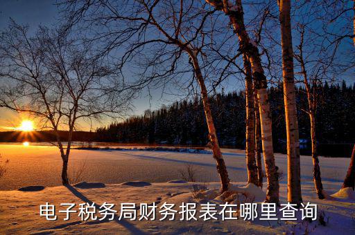 電子稅務(wù)局財(cái)務(wù)報(bào)表在哪里查詢(xún)