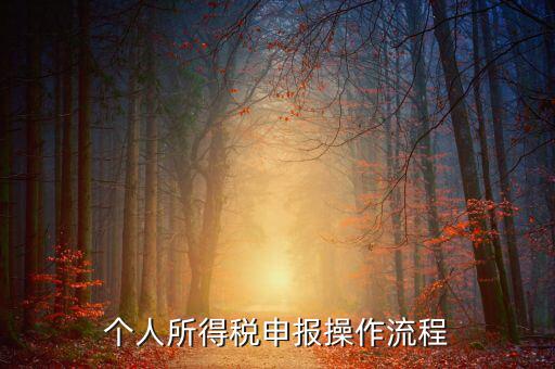 自然人所得稅如何安裝，個(gè)人所得稅如何進(jìn)行申報(bào)和核算
