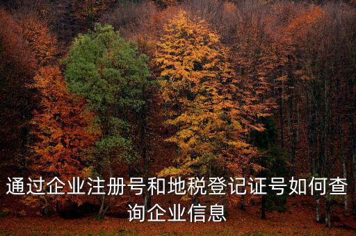 通過(guò)企業(yè)注冊(cè)號(hào)和地稅登記證號(hào)如何查詢企業(yè)信息