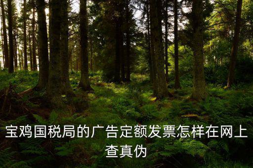 國稅定額發(fā)票如何查驗，國稅的定額發(fā)票怎么辨別真假制作的跟假的似的