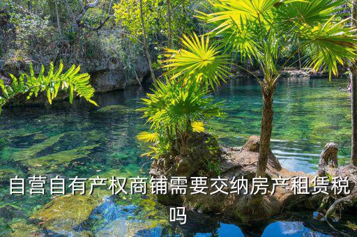 自有商鋪如何繳租賃稅，自有商鋪 是否交出租稅