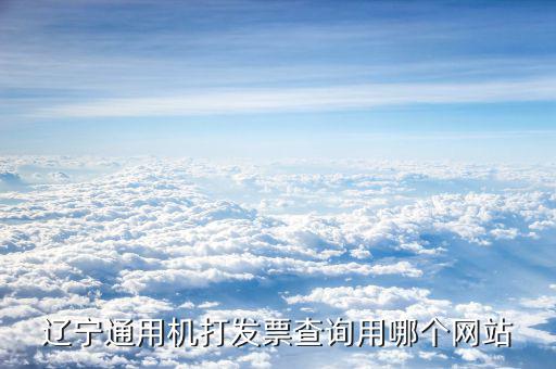 如何查詢遼寧省通用機(jī)打發(fā)票，遼寧通用機(jī)打發(fā)票查詢用哪個(gè)網(wǎng)站