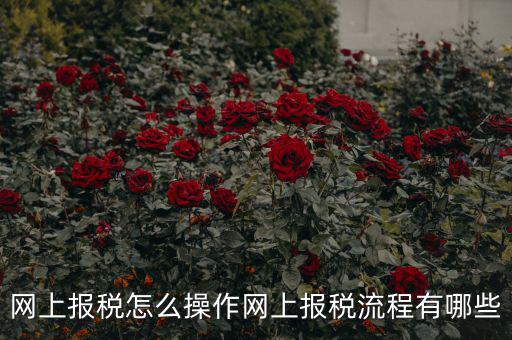 江蘇省網(wǎng)上稅務(wù)局如何報(bào)稅，網(wǎng)上報(bào)稅怎么操作網(wǎng)上報(bào)稅流程有哪些