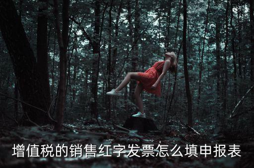 紅字開票金額如何填寫增值稅申報(bào)表，紅字發(fā)票如何填寫增值稅報(bào)表二