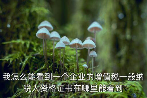增值稅一般納稅人資格如何查詢，重慶國(guó)稅網(wǎng)如何查詢企業(yè)是否一般納稅人