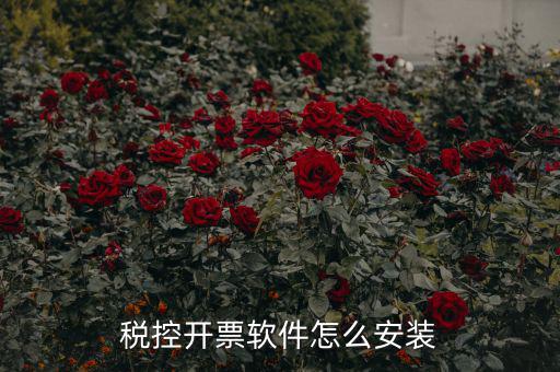 稅控開(kāi)票軟件怎么安裝