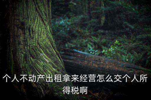 個(gè)人出租不動(dòng)產(chǎn)如何納稅，個(gè)人房產(chǎn)出租應(yīng)如何納稅 住宅可按5稅率征收