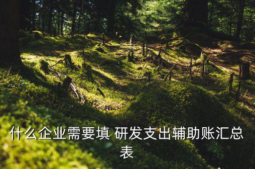 研發(fā)支出 輔助賬匯總表如何填寫，什么企業(yè)需要填 研發(fā)支出輔助賬匯總表