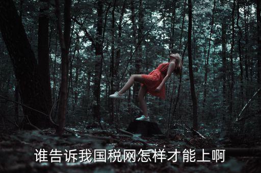 誰告訴我國(guó)稅網(wǎng)怎樣才能上啊