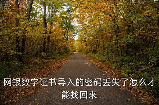 數(shù)字證書密碼錯誤如何找回，營業(yè)執(zhí)照數(shù)字證書密碼忘記了 怎么辦