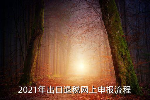 如何登錄出口退稅網(wǎng)，出口退稅申報(bào)流程操作