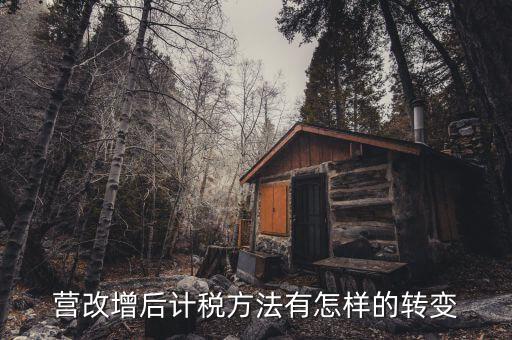 營改增后地稅如何轉(zhuǎn)型，營改增如何把地稅轉(zhuǎn)成國稅