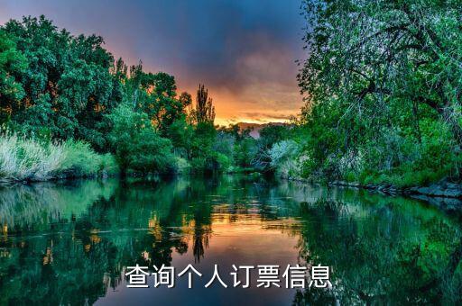 如何查買票信息查詢，12306可以查買票信息嗎