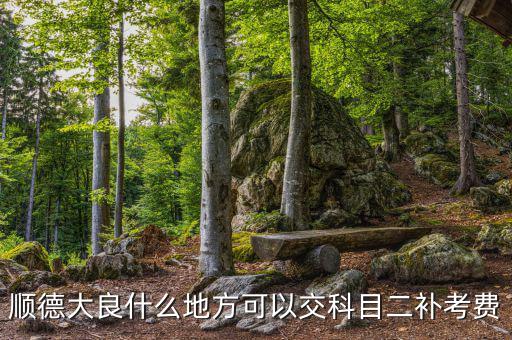 如何取消順德稅務平臺上的預約，如何取消順德人民醫(yī)院網(wǎng)上掛號