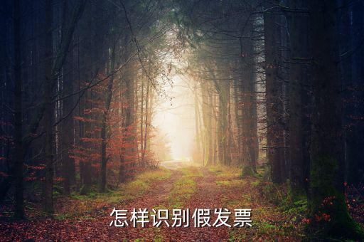 如何驗證假發(fā)票，怎么識別假發(fā)票啊