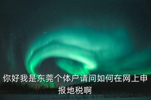東莞?jìng)€(gè)稅如何申報(bào)，你好我是東莞?jìng)€(gè)體戶請(qǐng)問(wèn)如何在網(wǎng)上申報(bào)地稅啊