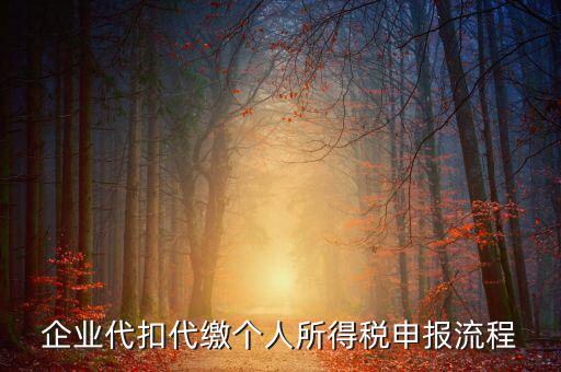 網(wǎng)上如何進入代扣代繳申報，企業(yè)代扣代繳個人所得稅申報流程