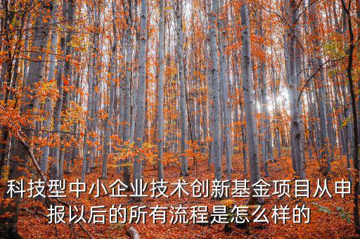 科技型優(yōu)惠如何備案，研發(fā)費(fèi)用加計(jì)扣除優(yōu)惠備案的要點(diǎn)有哪些