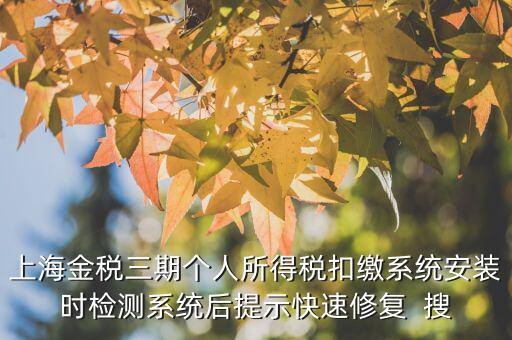 個(gè)稅安裝包如何恢復(fù)，上海金稅三期個(gè)人所得稅扣繳系統(tǒng)安裝時(shí)檢測系統(tǒng)后提示快速修復(fù)  搜