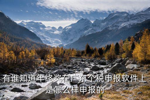 全年一次年終獎軟件如何申報，有誰知道年終獎在廣東個稅申報軟件上是怎么樣申報的