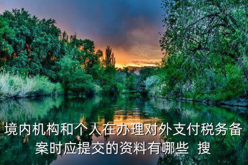 如何填列對外支付稅務備案表，境內(nèi)機構和個人在辦理對外支付稅務備案時應提交的資料有哪些  搜