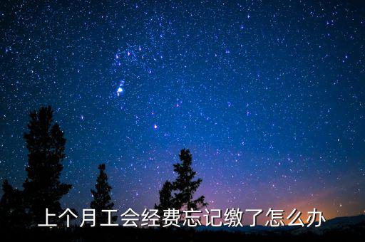 如何補繳上月工會經(jīng)費地稅，工會經(jīng)費上月已申報但未繳費本月可以補交嗎在哪里補交是在報稅系統(tǒng)
