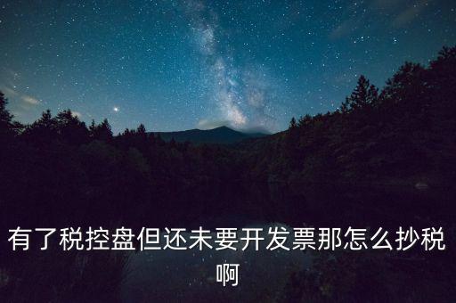 稅控盤如何抄報(bào)稅，有了稅控盤但還未要開發(fā)票那怎么抄稅啊