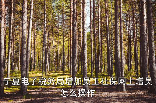 寧夏電子稅務(wù)系統(tǒng)如何開(kāi)通，開(kāi)通電子稅務(wù)局需要帶些什么東西去稅務(wù)局才能開(kāi)通