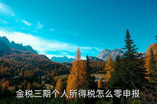 金稅三期個人所得稅如何零申報表，金稅三期個人所得稅零申報流程