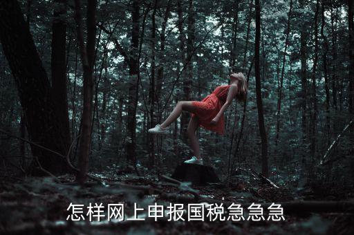 國(guó)稅網(wǎng)上稅務(wù)如何申報(bào)，怎樣網(wǎng)上申報(bào)國(guó)稅急急急