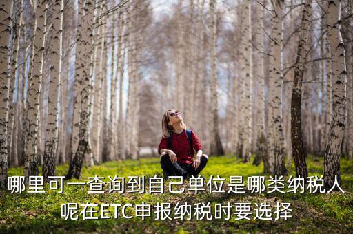 哪里可一查詢到自己單位是哪類納稅人呢在ETC申報(bào)納稅時(shí)要選擇