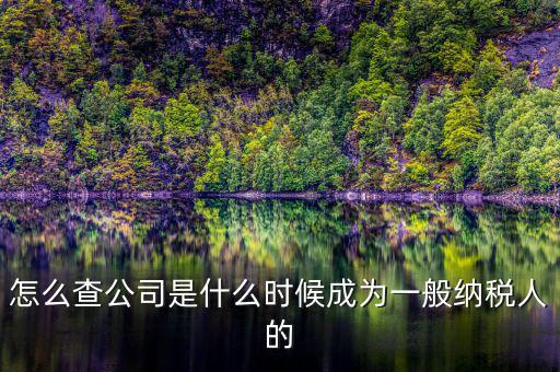 如何查詢一般人納稅認(rèn)定時(shí)間，怎么查公司是什么時(shí)候成為一般納稅人的