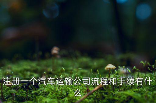 注冊一個汽車運(yùn)輸公司流程和手續(xù)有什么