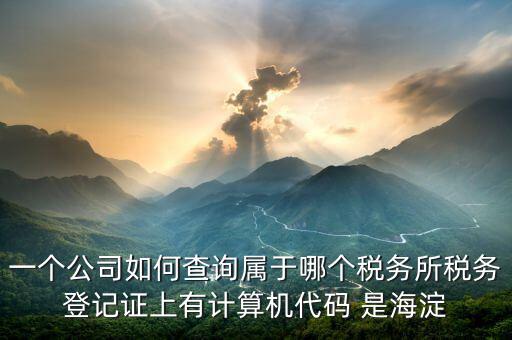 企業(yè)屬于哪個國稅分局如何查詢，怎么查詢公司的主管稅務機關
