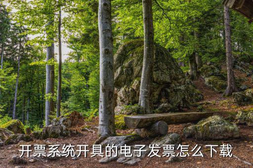 發(fā)票助手如何安裝在手機(jī)上，增值稅發(fā)票稅控開(kāi)票軟件怎么安裝